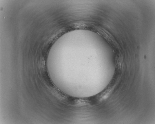 X0000070430372200606302132