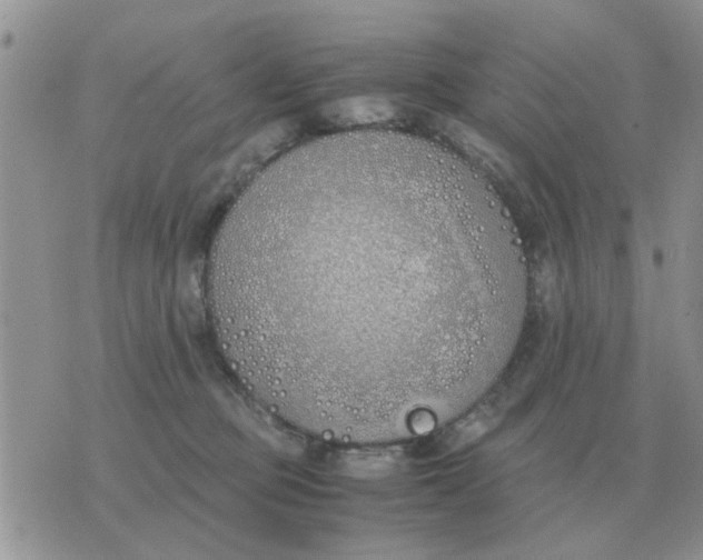 X0000070430373200606302132