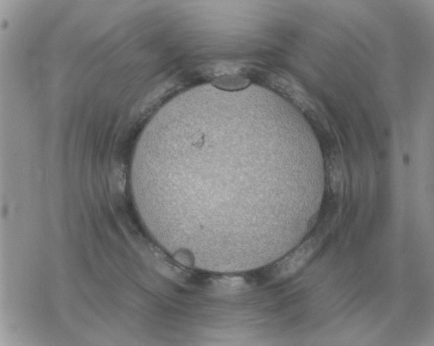 X0000070430374200606302132