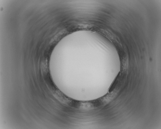 X0000070430376200606302132