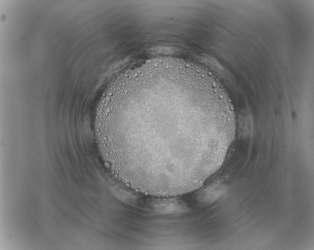 X0000070430377200606302132