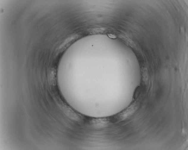 X0000070430378200606302132