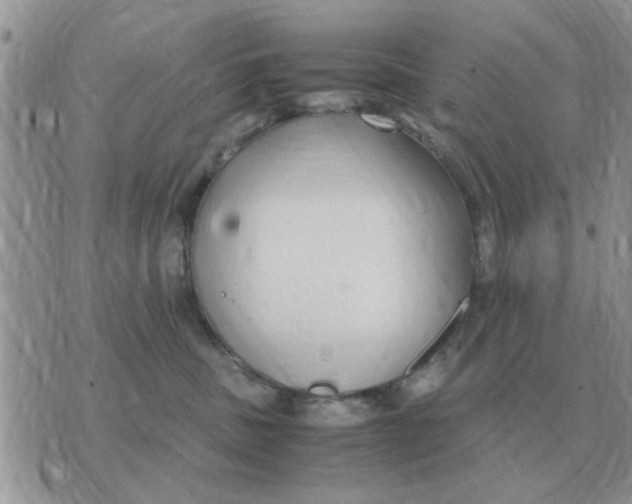 X0000070430379200606302132