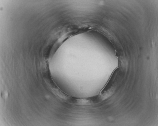 X0000070430380200606302132