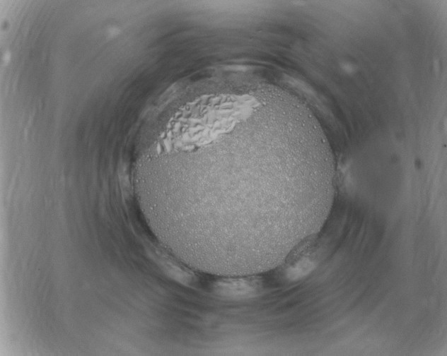 X0000070430381200606302132