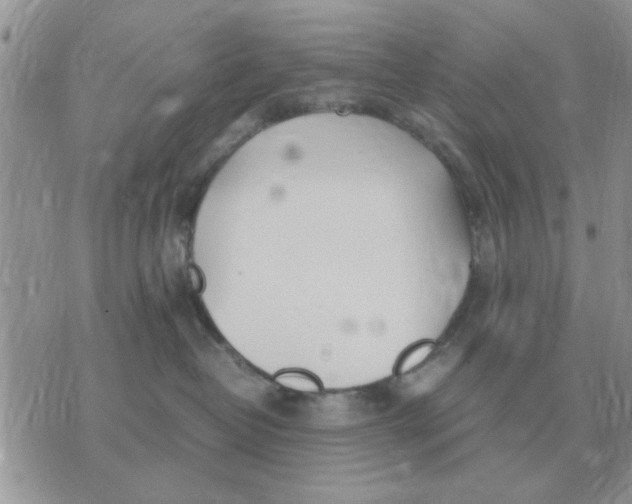 X0000070430382200606302132