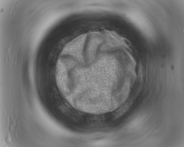 X0000070430383200606302132