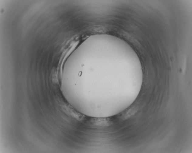 X0000070430384200606302132