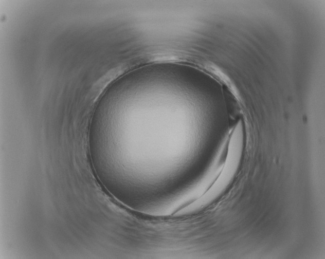 X0000070430385200606302132