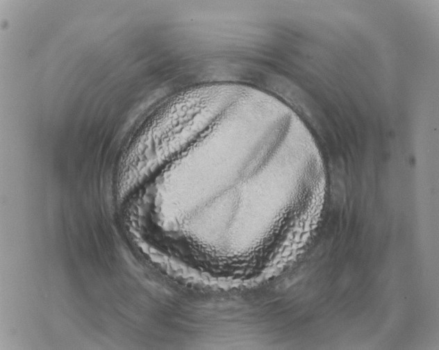 X0000070430386200606302132