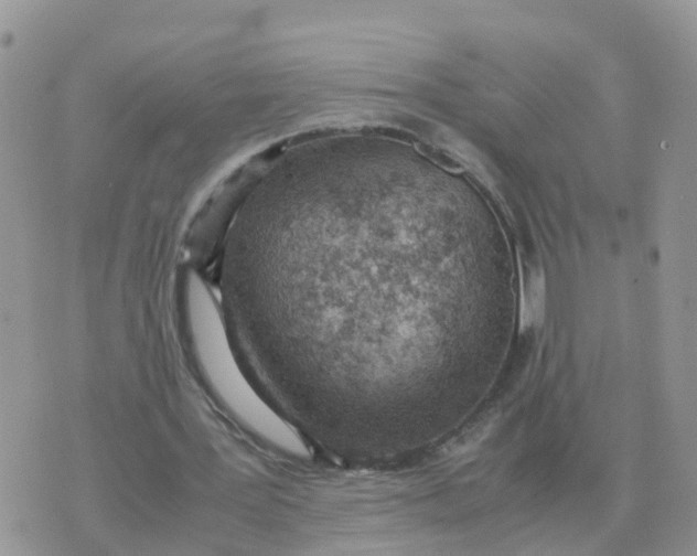 X0000070430387200606302131