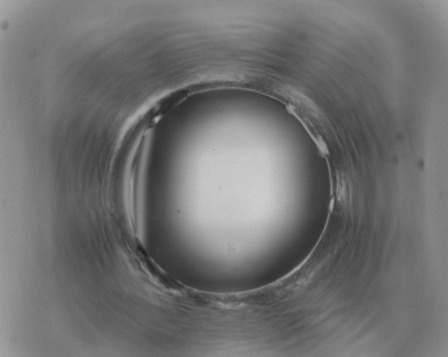 X0000070430388200606302131