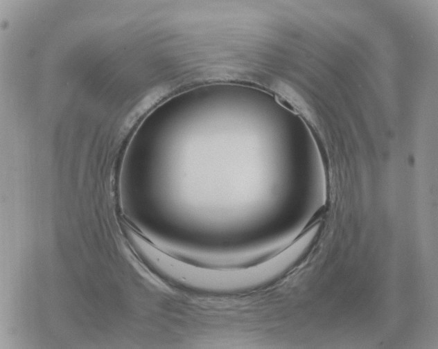 X0000070430389200606302131