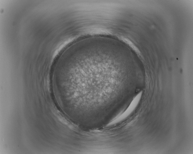 X0000070430391200606302131