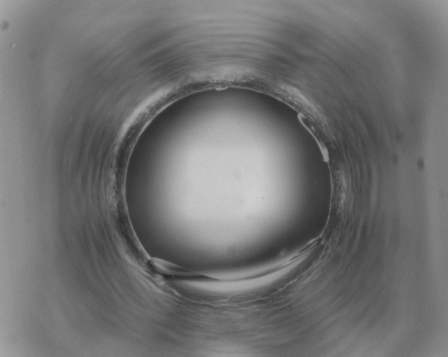 X0000070430392200606302131