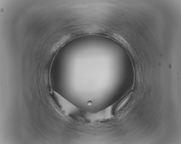 X0000070430393200606302131