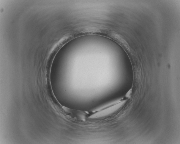 X0000070430395200606302131