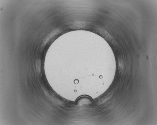 X0000070430396200606302131