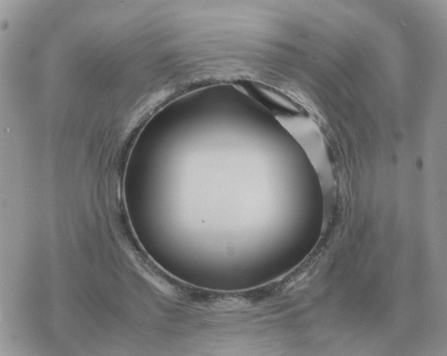 X0000070430397200606302131