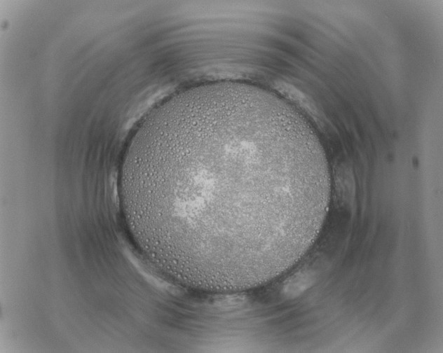 X0000070430398200606302131