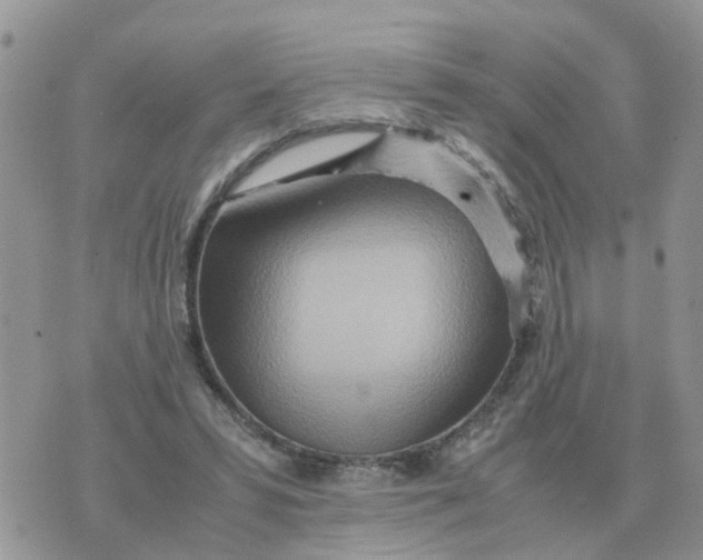 X0000070430399200606302131