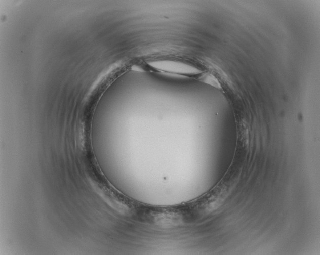 X0000070430400200606302131