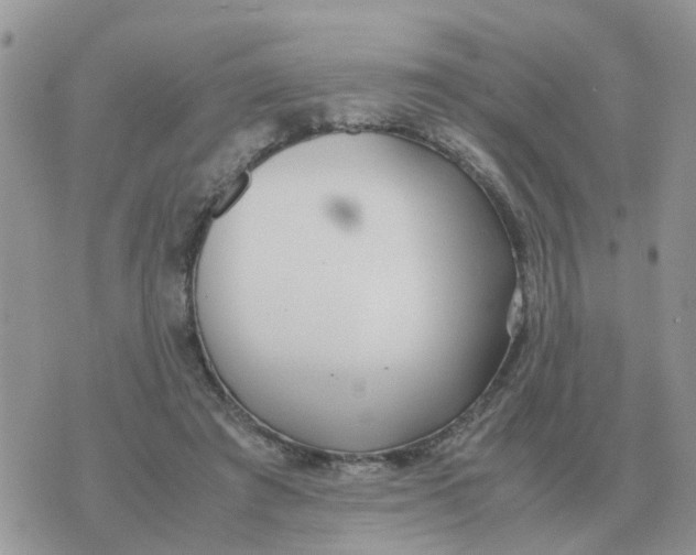 X0000070430401200606302131