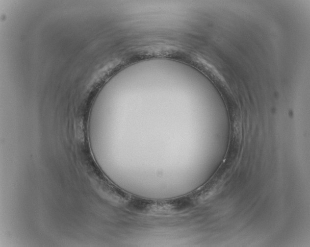 X0000070430403200606302131