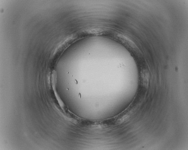 X0000070430404200606302131