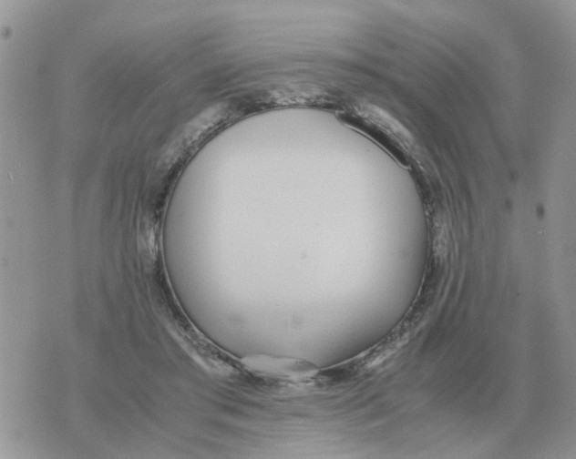 X0000070430405200606302131