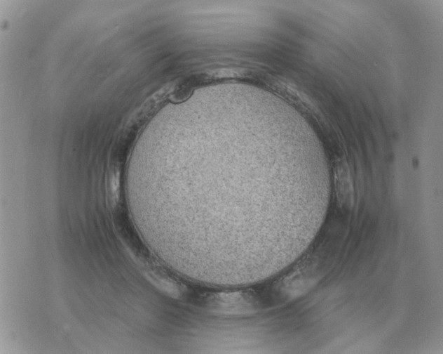 X0000070430406200606302131