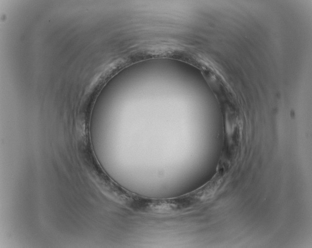 X0000070430407200606302131