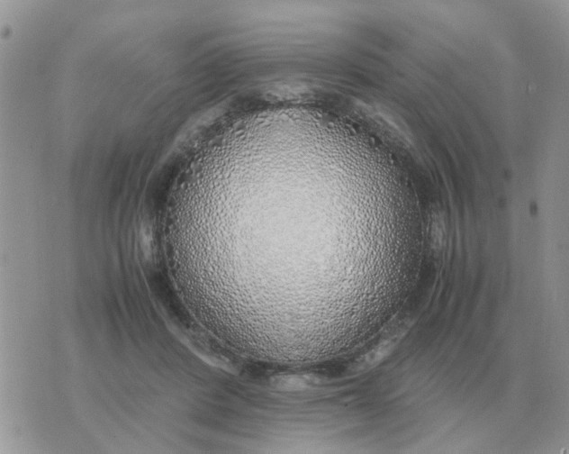 X0000070430408200606302131