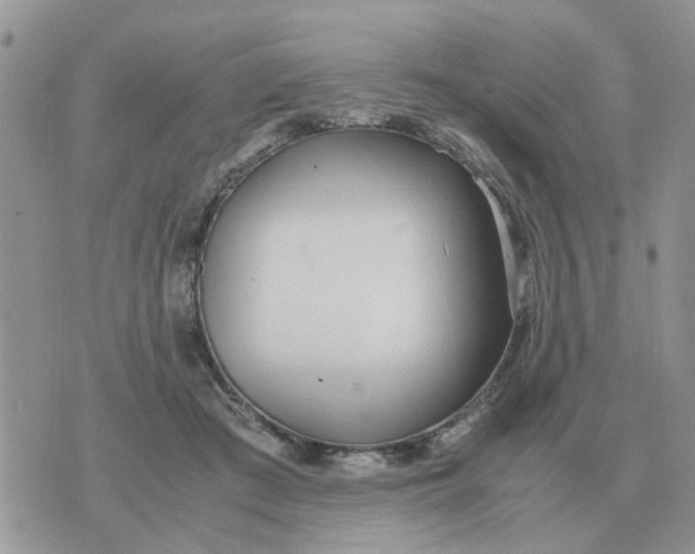 X0000070430409200606302131