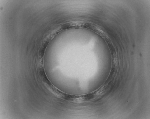 X0000070430411200606302131