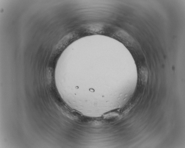 X0000070430412200606302131