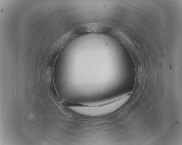 X0000070430413200606302131