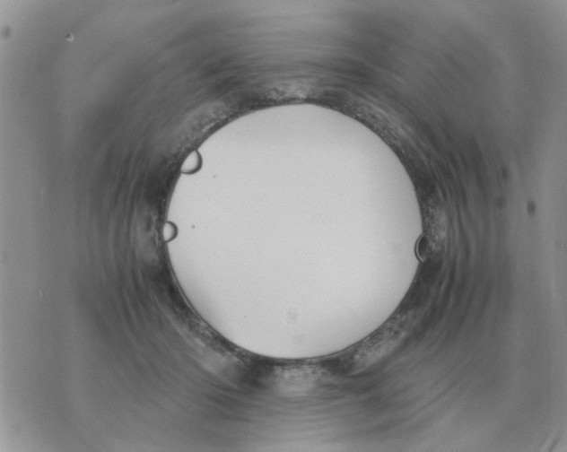 X0000070430414200606302131