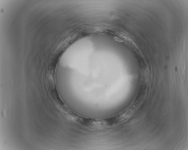 X0000070430415200606302131