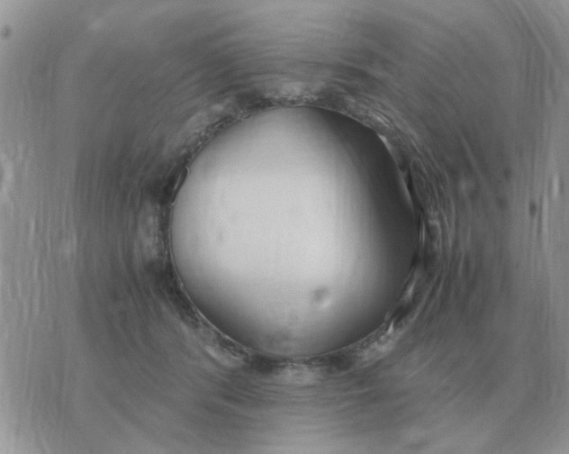 X0000070430416200606302131