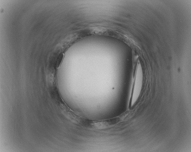 X0000070430417200606302131