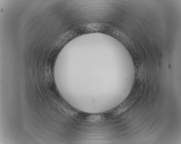 X0000070430418200606302131