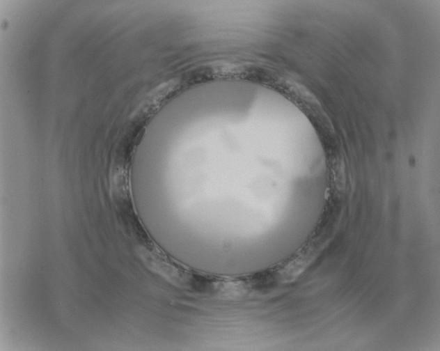 X0000070430419200606302131