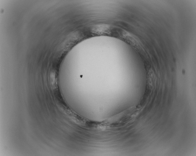 X0000070430420200606302131