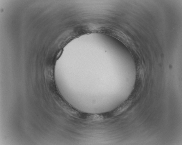 X0000070430421200606302131