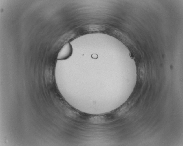 X0000070430422200606302131