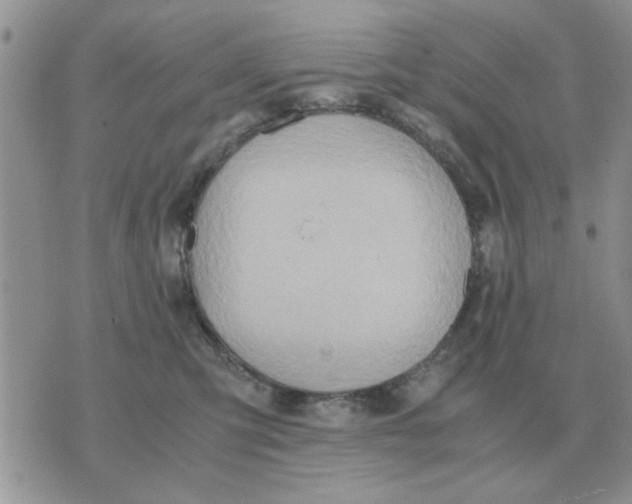 X0000070430423200606302131