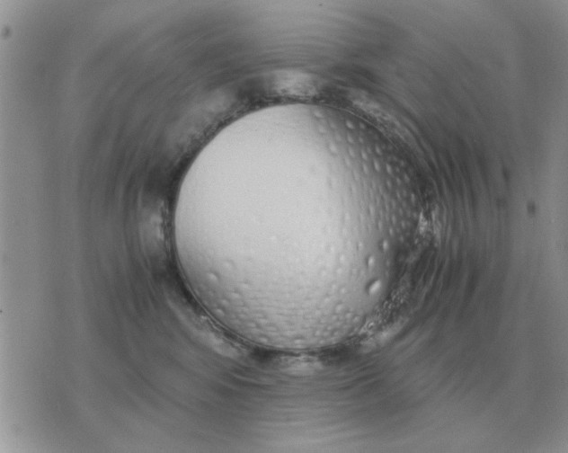 X0000070430424200606302131