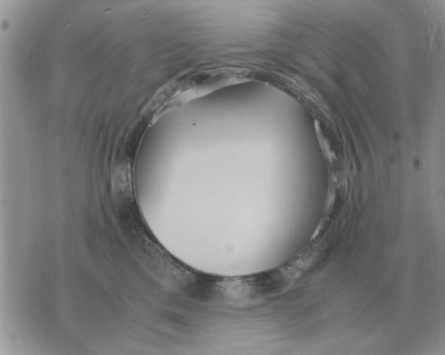 X0000070430425200606302131