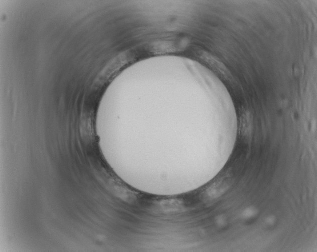 X0000070430426200606302131